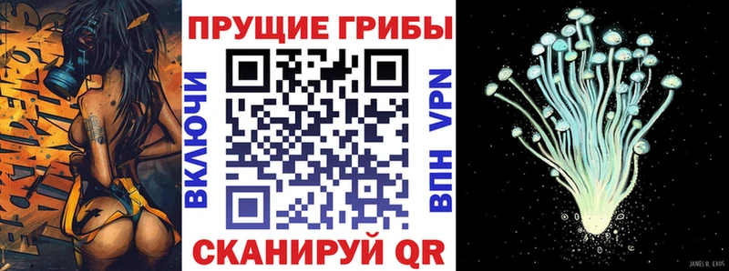 Галлюциногенные грибы MAGIC MUSHROOMS  Новое Девяткино 